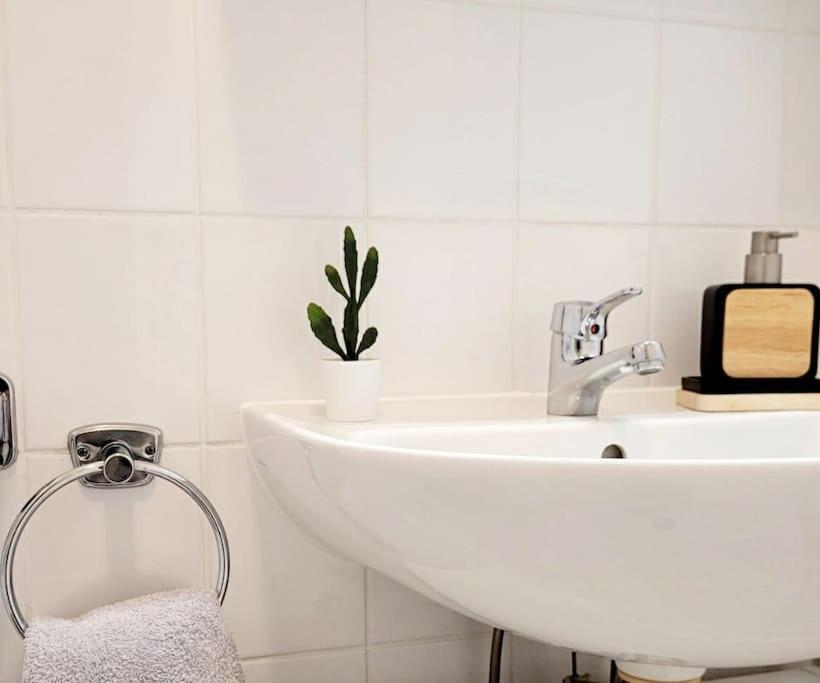 Gemuetliches Helles Appartement Дрезден Екстериор снимка